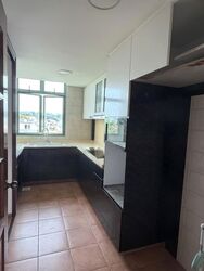The Sunnydale (D19), Condominium #599741191